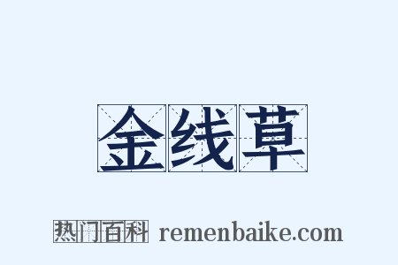 金线草是什么意思的图片